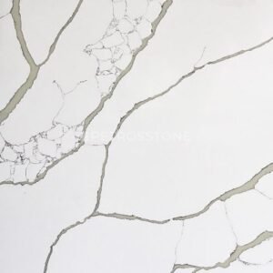 Calacatta Michelangelo Quartz